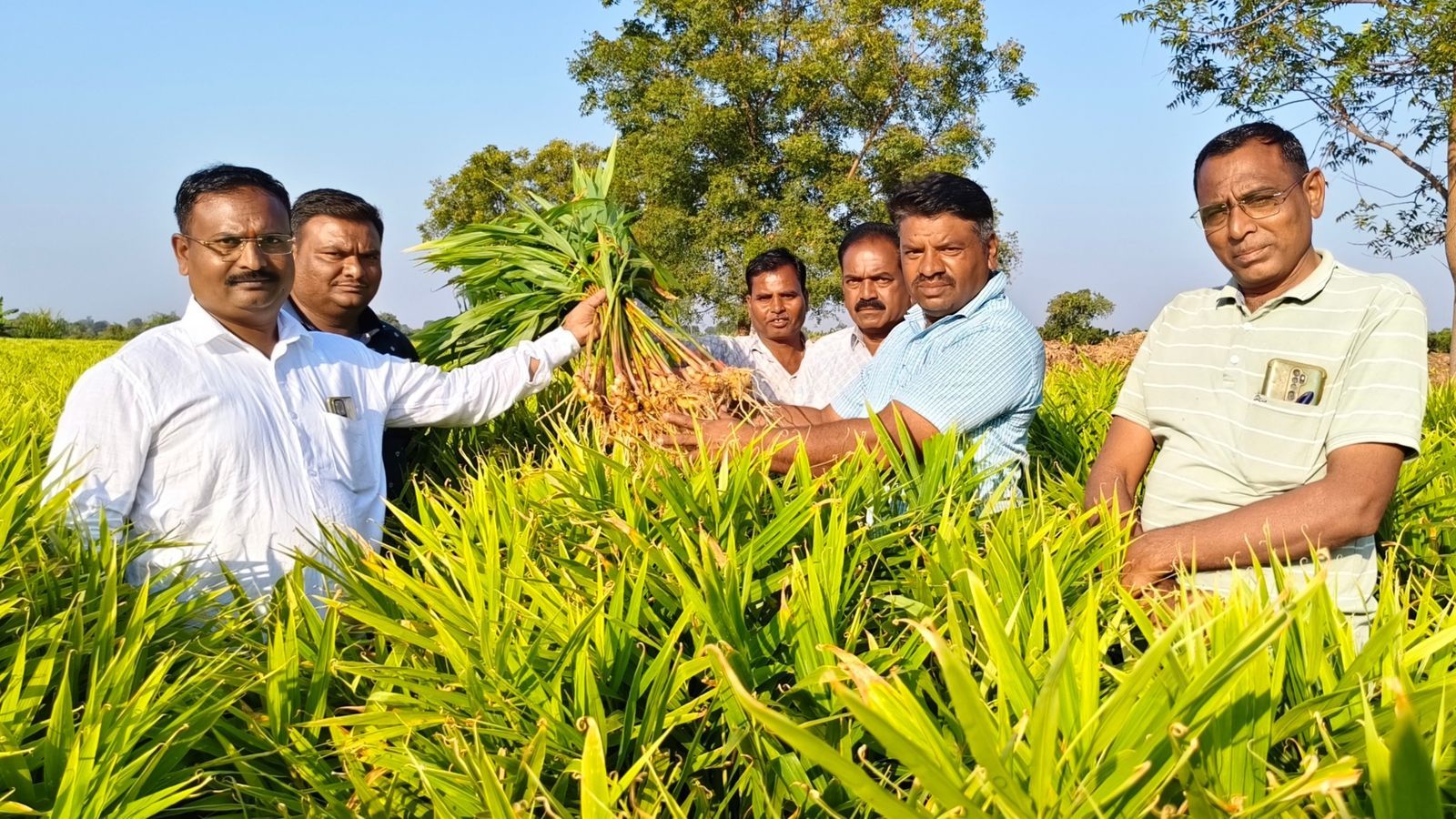 68c4f07df94cc1adfe5ce78e whatsapp202025 09 032011.03.30am p 1600